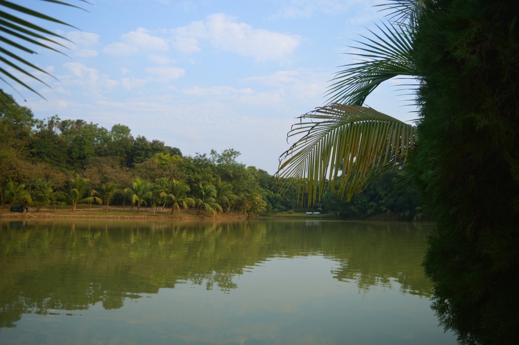 জিন্দা পার্ক, জিন্দা পার্ক নারায়নগঞ্জ