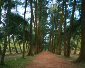 জিন্দা পার্ক, জিন্দা পার্ক নারায়নগঞ্জ, জিন্দা পার্ক ভ্রমন