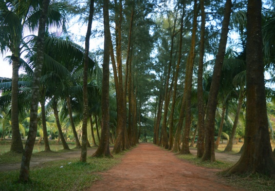 জিন্দা পার্ক, জিন্দা পার্ক নারায়নগঞ্জ, জিন্দা পার্ক ভ্রমন